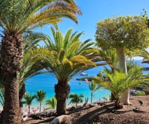 Gran Canarias 4